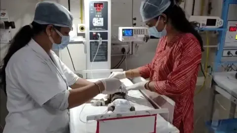 Infant Placed Alive in India Battles for Existence
